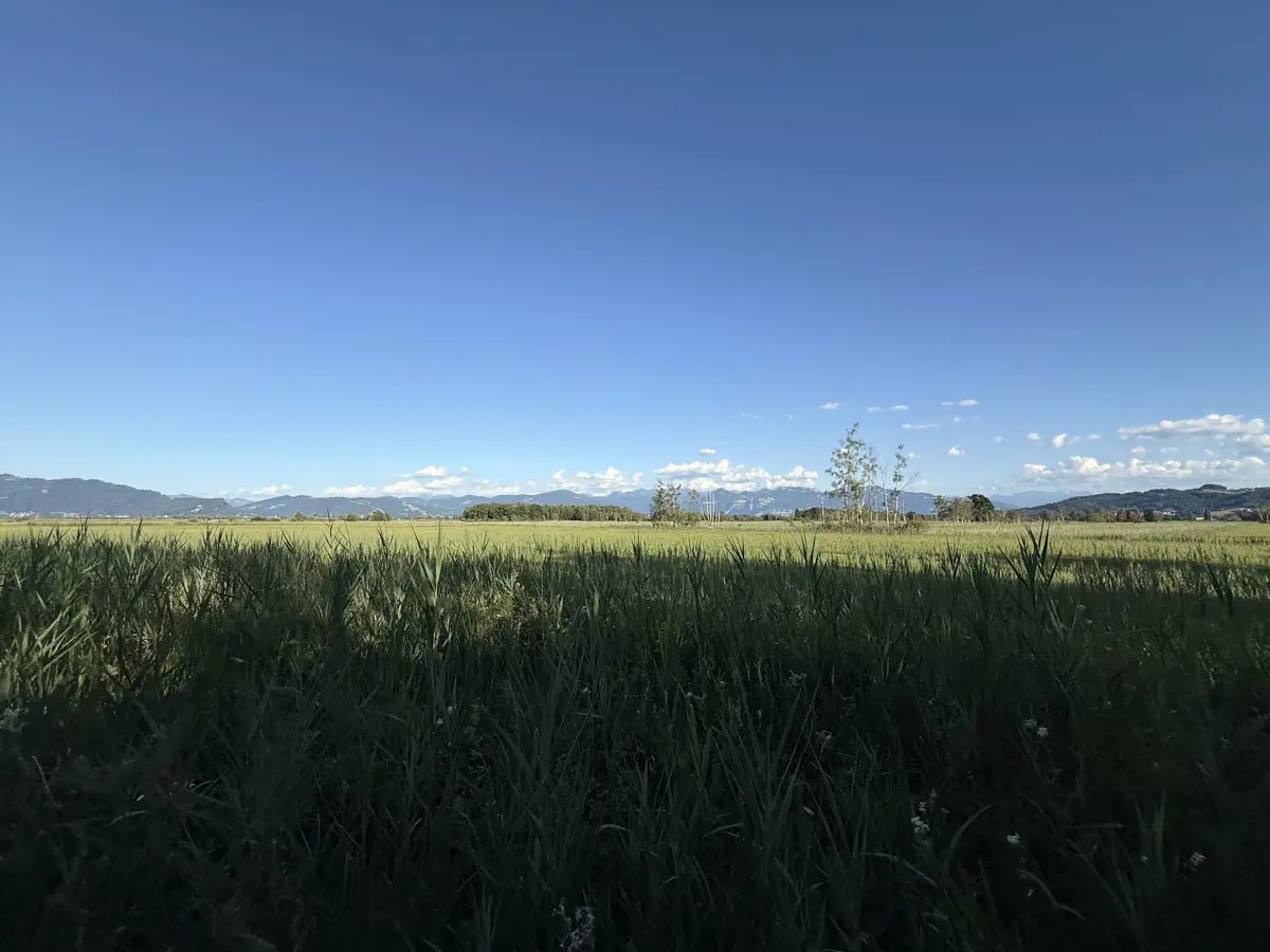 Naturschutzgebiet