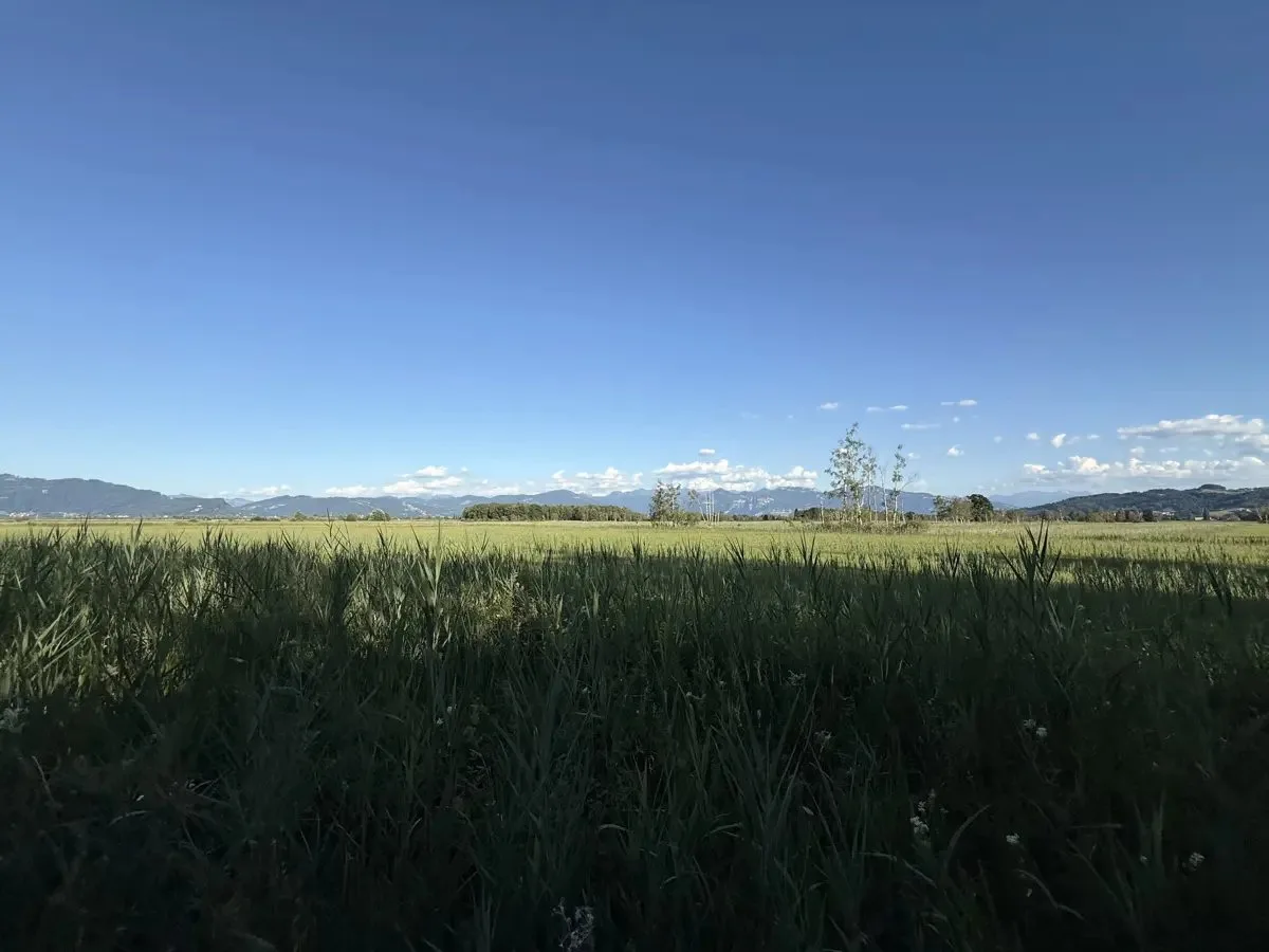 Naturschutzgebiet