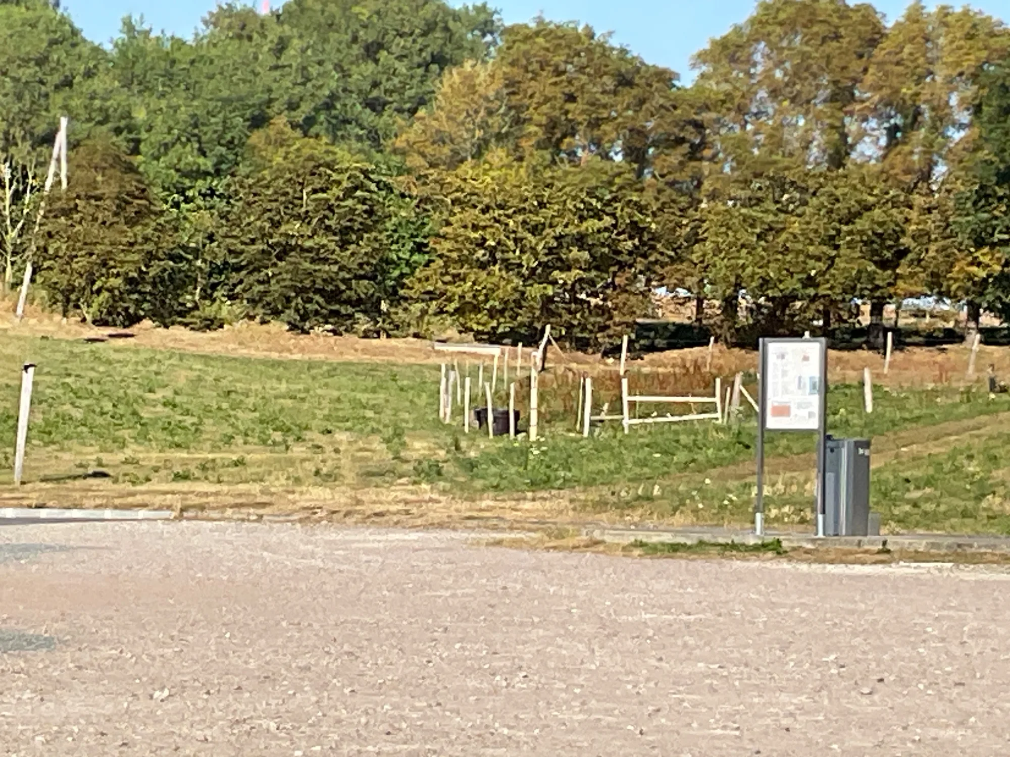 Such den Esel