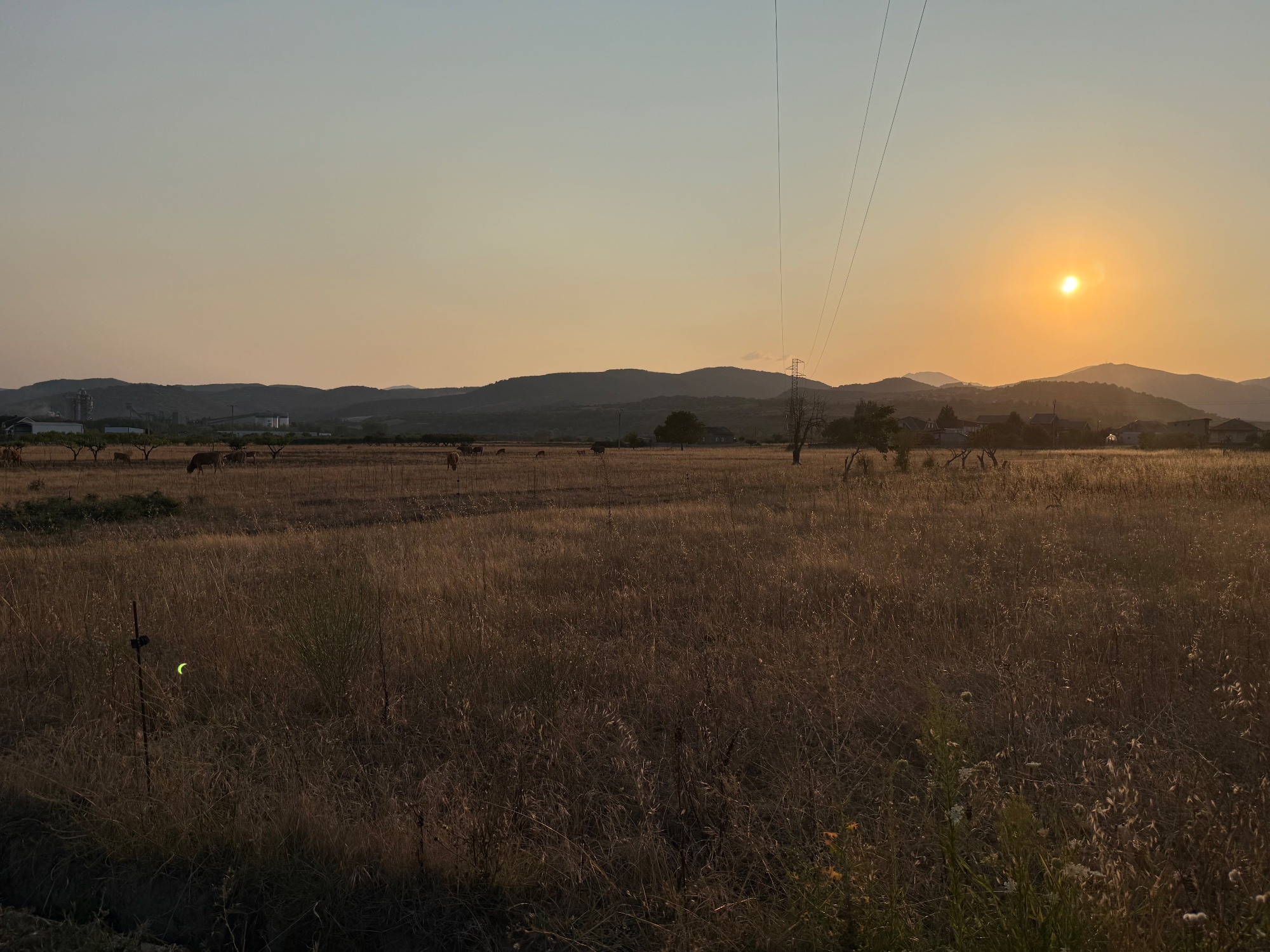Blick vom Campingplatz Eingang auf die Sonne